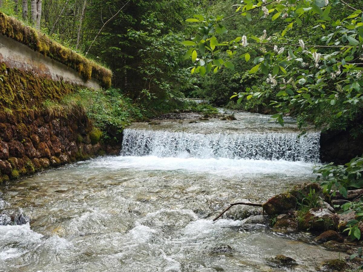 Idyllic Mountain Huette -Gesaeuse Nationalpark Landl (Styria) Exterior foto