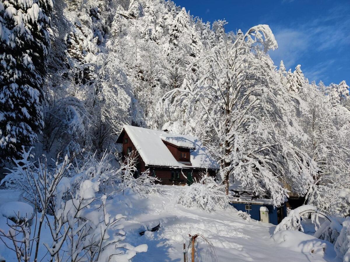 Idyllic Mountain Huette -Gesaeuse Nationalpark Landl (Styria) Exterior foto