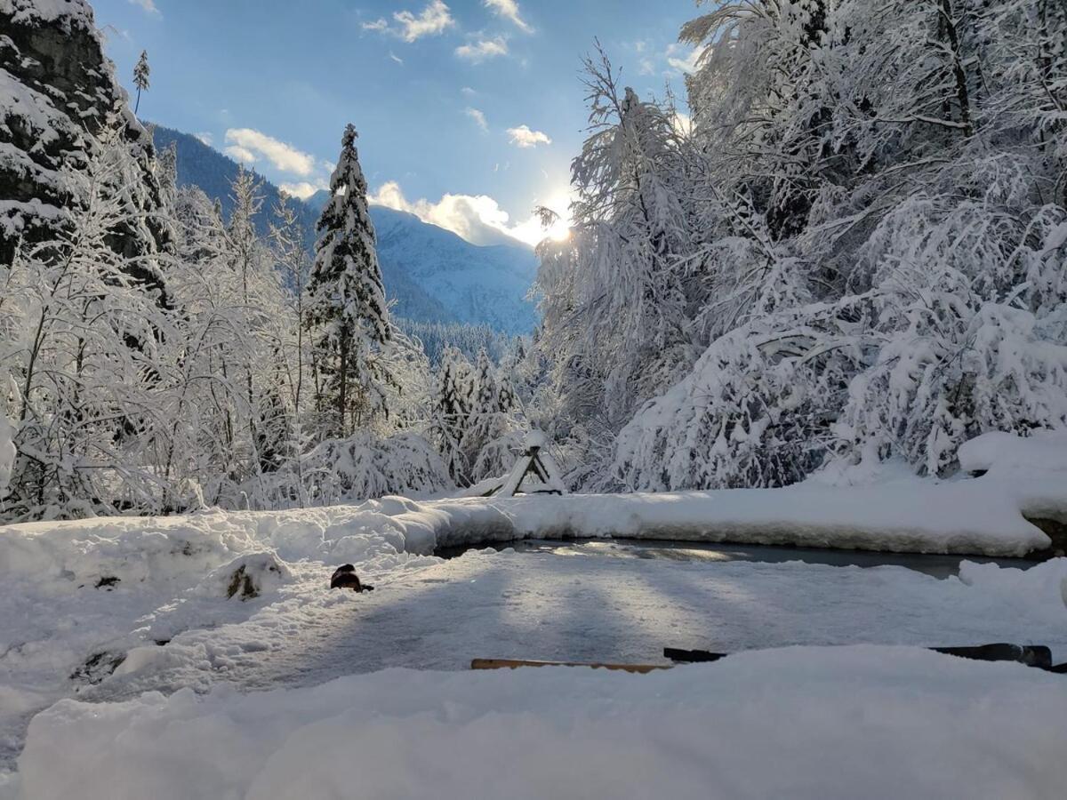 Idyllic Mountain Huette -Gesaeuse Nationalpark Landl (Styria) Exterior foto